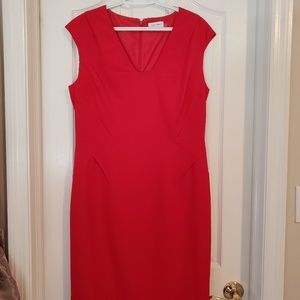 Calvin Klein Size 12